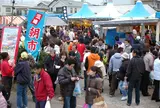 三崎朝市