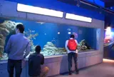 沼津港深海水族館