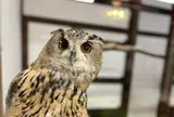 掛川花鳥園