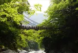 祖谷のかずら橋
