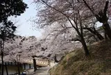 奈良公園 浮見堂