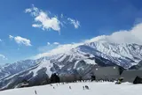 白馬岩岳スノーフィールド