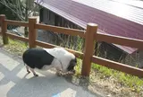 モクモク手づくりファーム　野天もくもくの湯