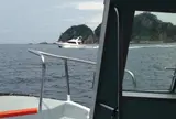 堂ケ島マリン