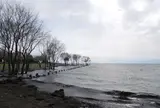 豊公園