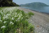 湖西の風景
