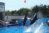マリンピア日本海