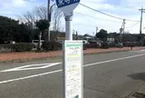 東尋坊
