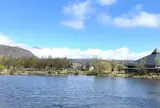 矢ケ崎公園