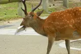 貴方は狙われています