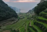 浜野浦の棚田