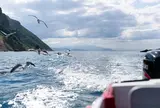 小樽 青の洞窟 龍宮クルーズ