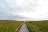 サロベツ原生花園