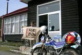 いもやらだいこん