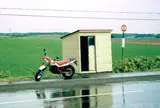 野宿する