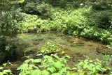 塩釜の冷泉
