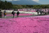 富士芝桜まつり事務局