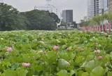 千秋公園
