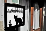 会場脇の路地裏には