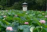 白山公園