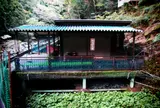 丸岩安藤わさび店 - 浄蓮の滝売店