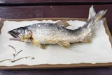 那須観光やな