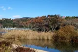 桂川河川公園