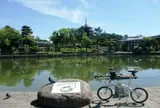 猿沢池