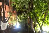 グリーンハウス シルバ