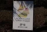 伊参スタジオ公園