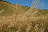 曽爾高原