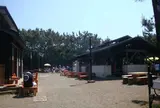 茅ヶ崎市柳島キャンプ場