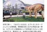 笠岡市立カブトガニ博物館        
