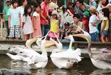 神戸どうぶつ王国