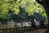 井の頭恩賜公園