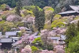 長谷寺