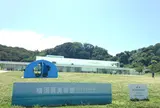 横須賀美術館