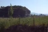 崇神天皇陵