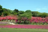 八方ケ原