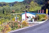 若林みかん園