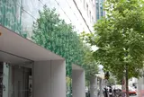 ＣＯＣＯＮＫＡＲＡＳＵＭＡ