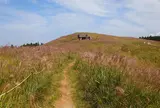 生石高原