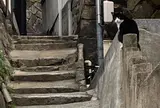 尾道駅