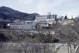 岡崎城