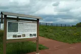 堀井城跡ふれあい公園
