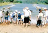 大瀬観光やな