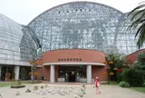 東京都夢の島熱帯植物館