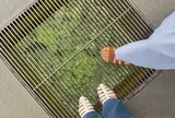 雲辺寺ロープウェイ