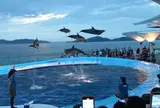 四国水族館