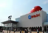 めんたいパークとこなめ